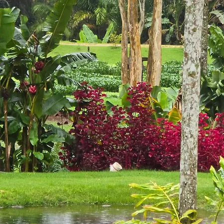 Celeiro Stein Villa Domingos Martins Exterior photo